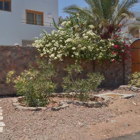 Red C Villas Dahab Exterior photo