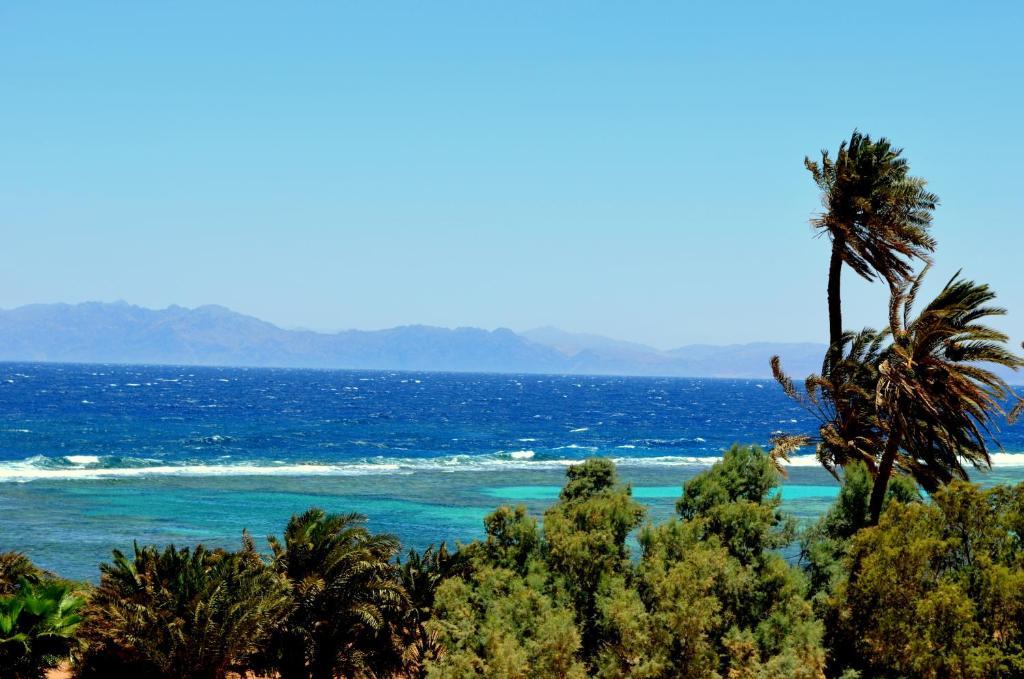 Red C Villas Dahab Room photo