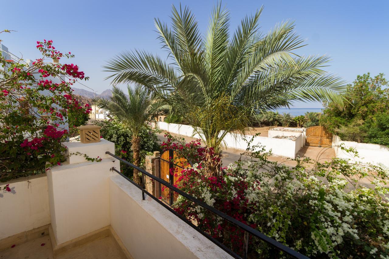Red C Villas Dahab Exterior photo
